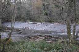 Historic weir, River Derwent, Shotley Bridge 21/11/2021